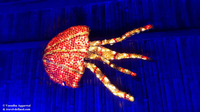 Octopus at 'Sealabration'